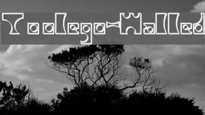 Toolego-Walled Font examples