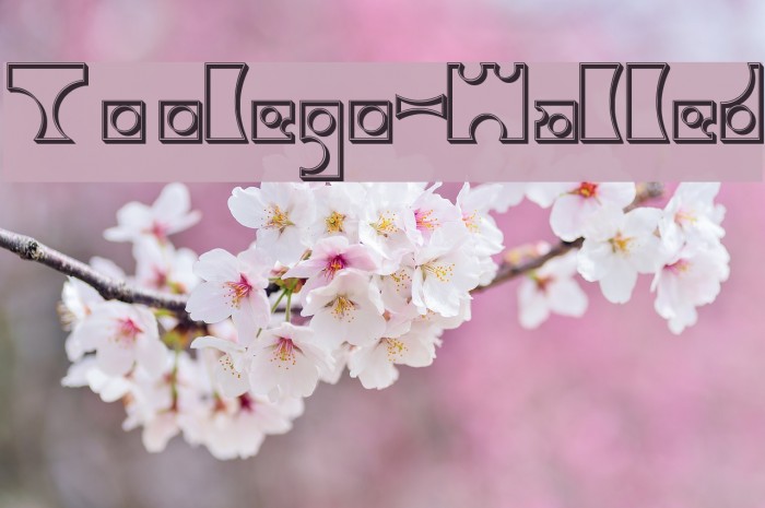 Toolego-Walled Font examples