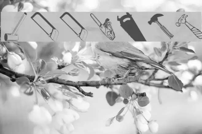 ToolsMK Font examples