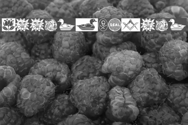 ToolsSymbols Font examples