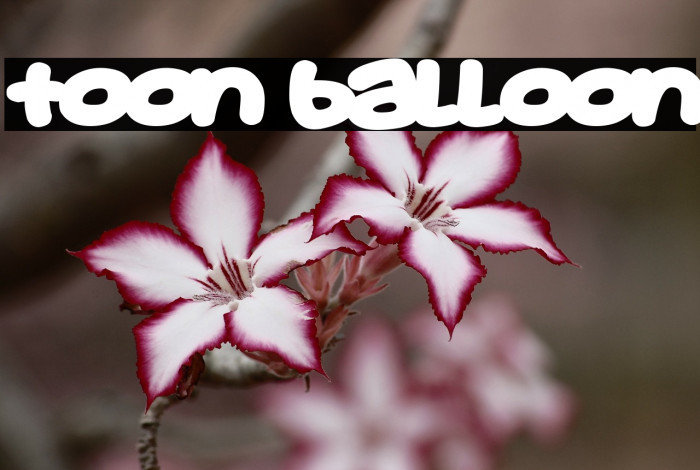 Toon Balloon Font examples