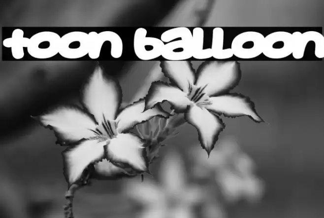 Toon Balloon Font examples