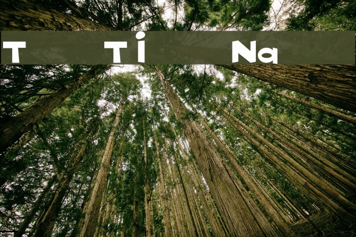 Toon-Time Narrow Font examples