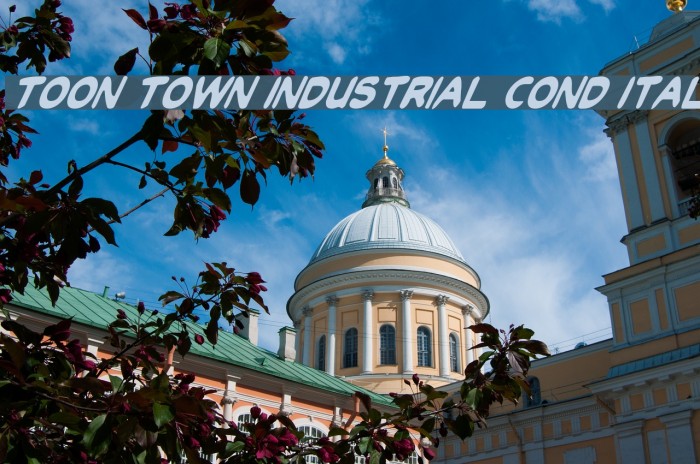 Toon Town Industrial Cond Ital Font examples