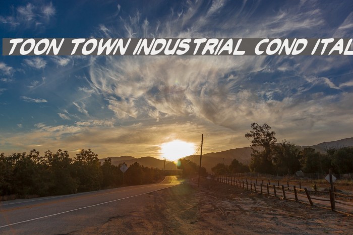 Toon Town Industrial Cond Ital Font examples