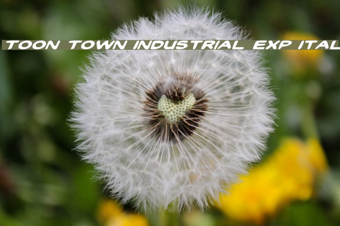 Toon Town Industrial Exp Ital Font examples