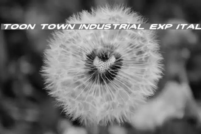 Toon Town Industrial Exp Ital Caratteri examples