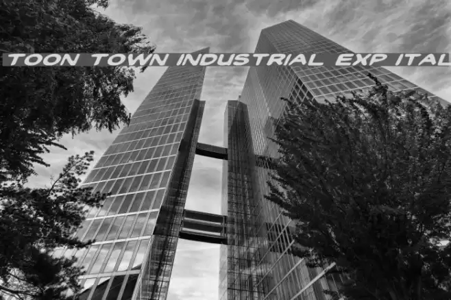 Toon Town Industrial Exp Ital Caratteri examples