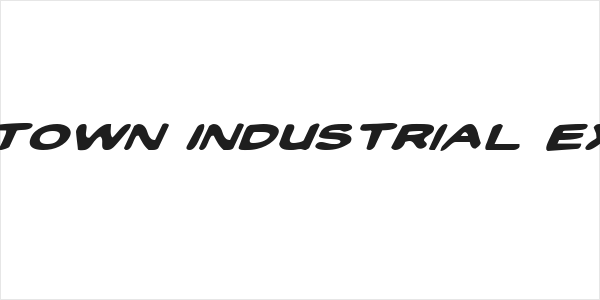 Toon Town Industrial Exp Ital Logo