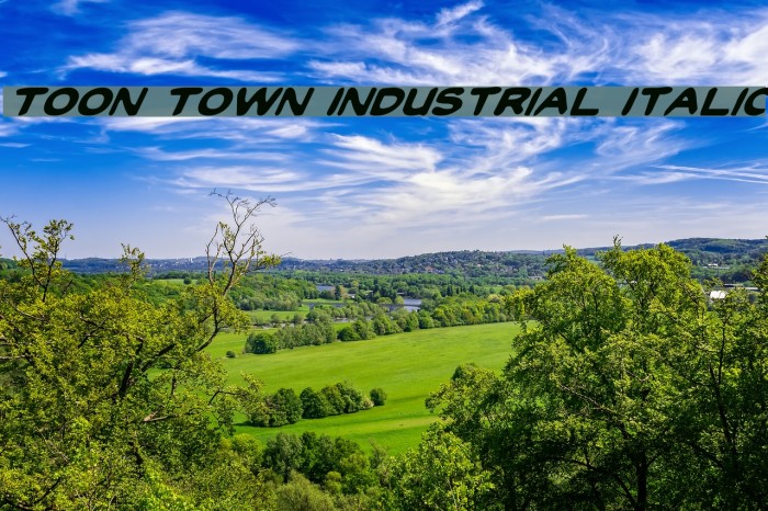 Toon Town Industrial Italic Font examples