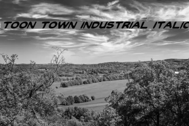 Toon Town Industrial Italic Caratteri examples