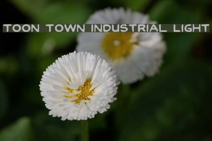 Toon Town Industrial Light Font examples