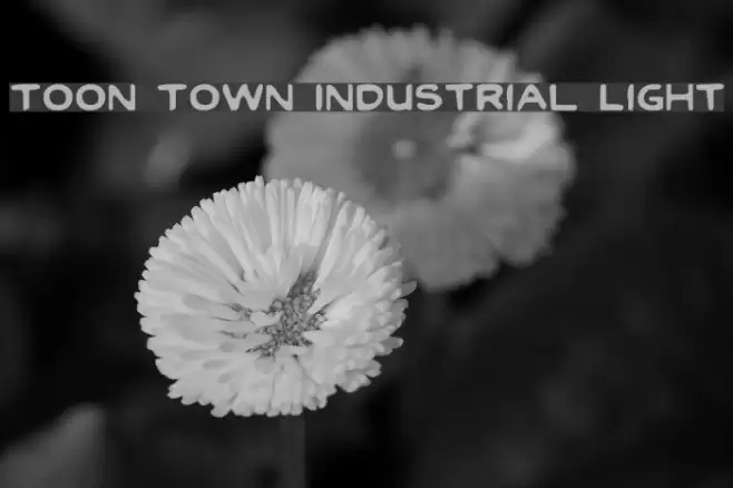Toon Town Industrial Light Caratteri examples