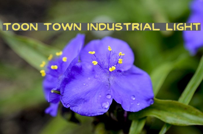Toon Town Industrial Light Font examples