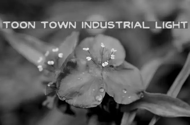 Toon Town Industrial Light Caratteri examples