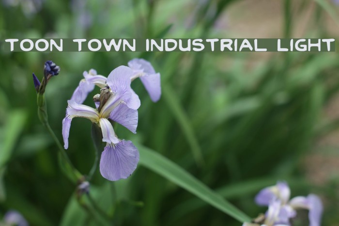 Toon Town Industrial Light Font examples
