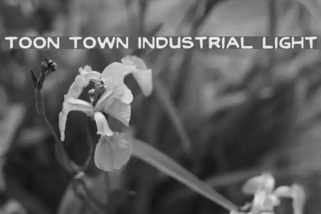 Toon Town Industrial Light Caratteri examples