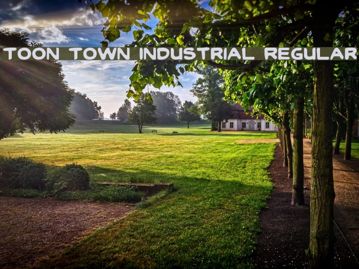 Toon Town Industrial Regular Font examples