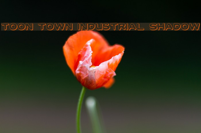 Toon Town Industrial Shadow Font examples