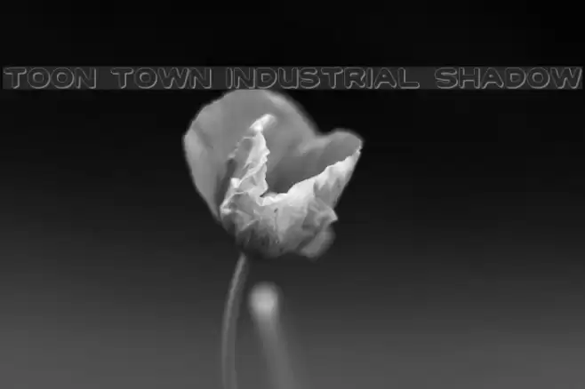 Toon Town Industrial Shadow Font examples