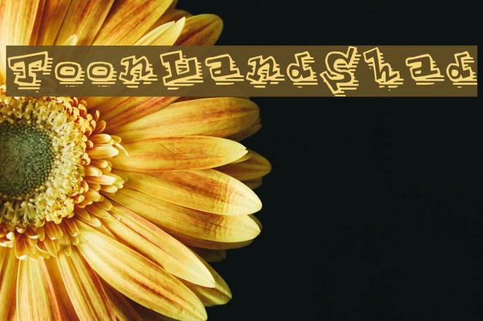 ToonLandShad Font examples