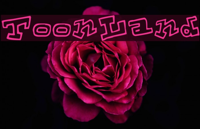ToonLand Font examples
