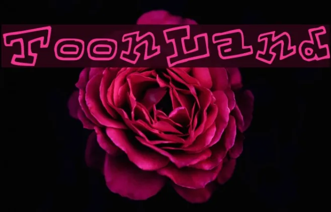 ToonLand Example 3
