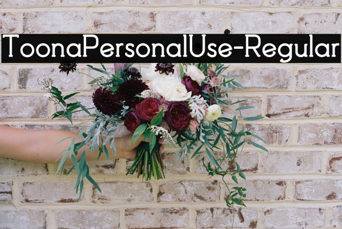 ToonaPersonalUse-Regular Example 1