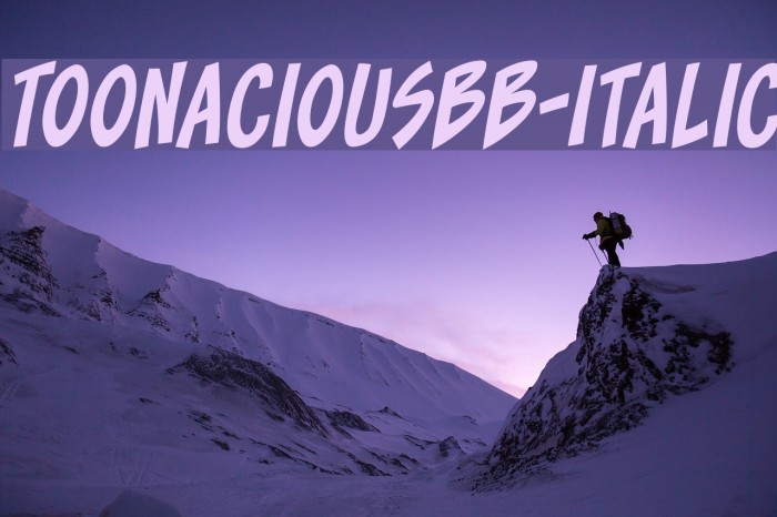 ToonaciousBB-Italic Example 2
