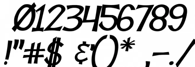 Tooney Loons Bold Italic Font OTHER CHARS