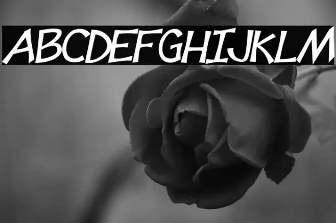 Tooney Loons Bold Italic Font examples