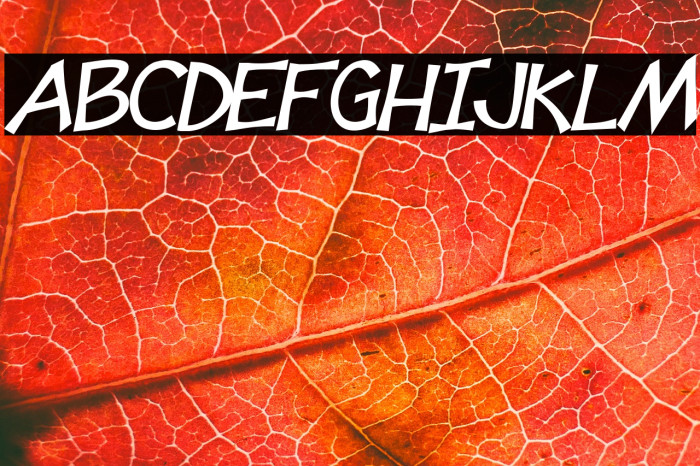 Tooney Loons Bold Italic Example 3