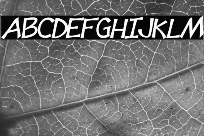 Tooney Loons Bold Italic Font examples