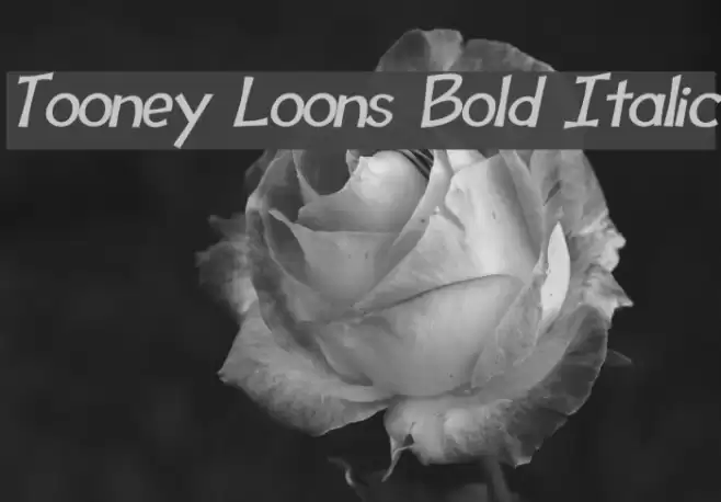 Tooney Loons Bold Italic Schriftart examples