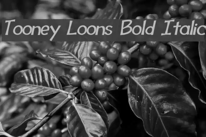 Tooney Loons Bold Italic Schriftart examples