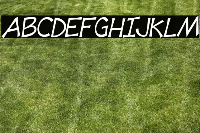 Tooney Loons Italic Example 1