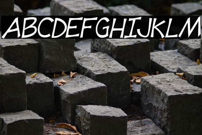 Tooney Loons Italic Example 2