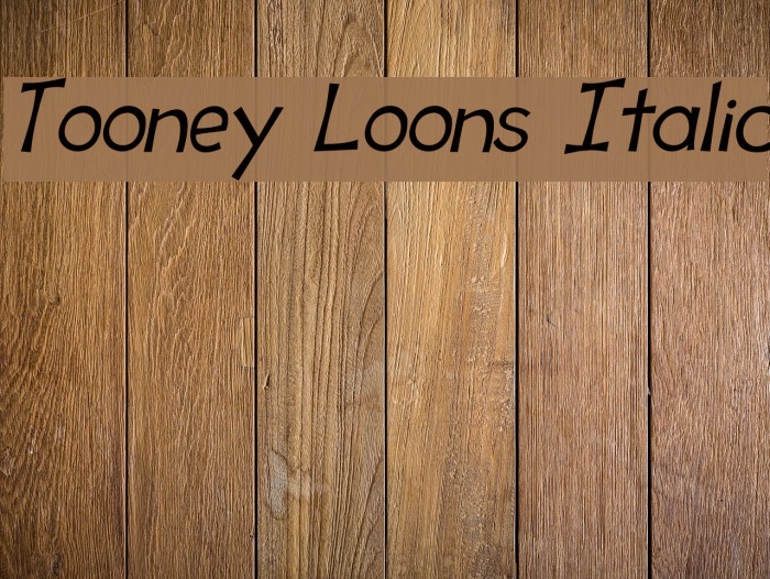 Tooney Loons Italic Font examples