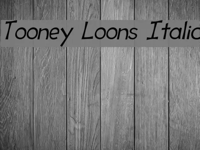 Tooney Loons Italic Font examples