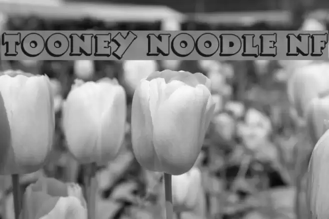 Tooney Noodle NF Font examples