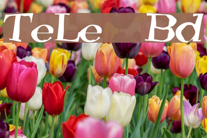 TooneyLunes Bold Font examples