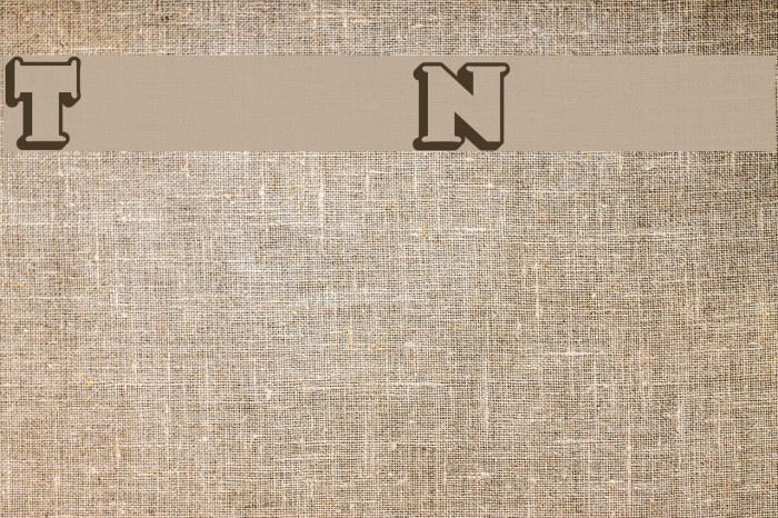 TooneyNoodle Font examples