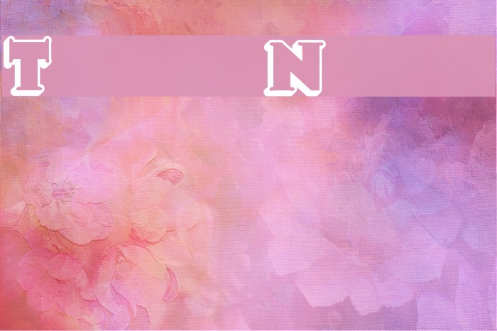 TooneyNoodle Font examples