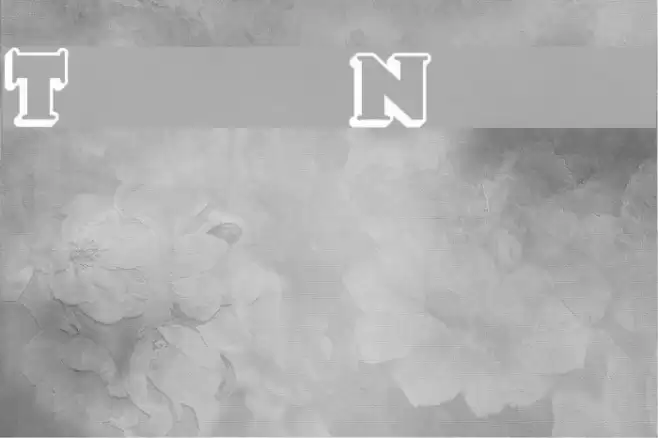 TooneyNoodle Font examples