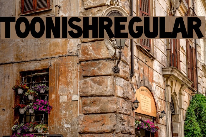 ToonishRegular Font examples