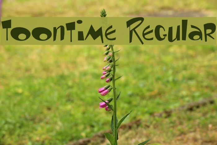 Toontime Regular Font examples