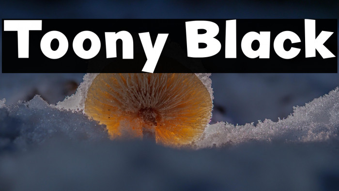 Toony Black Example 1