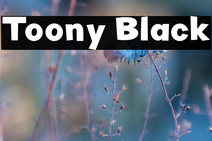 Toony Black Example 3