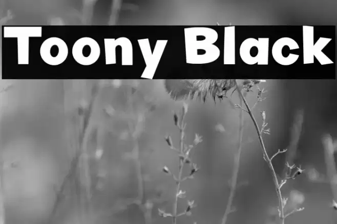 Toony Black Font examples