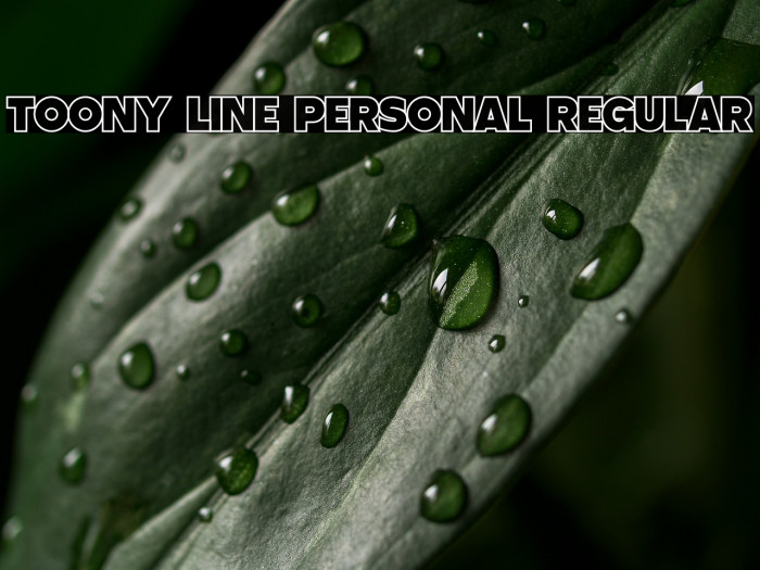 Toony Line PERSONAL Regular Example 1